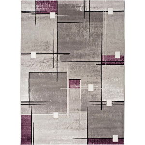 Šedo-fialový koberec Universal Detroit, 200 x 290 cm