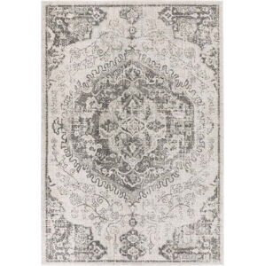 Šedo-krémový koberec 200x290 cm Nova – Asiatic Carpets