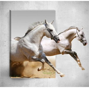 Nástěnný 3D obraz Mosticx Horses, 40 x 60 cm