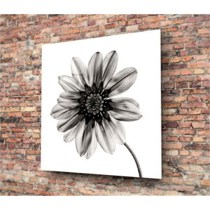Černo-bílý skleněný obraz Insigne Flower, 30 x 30 cm