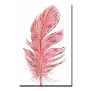 Obraz 45x70 cm Feather – Wallity