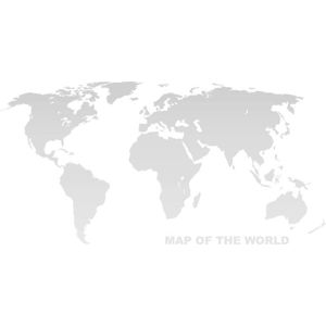 Nástěnná mapa světa na plátně Tomasucci World, 80 x 160 cm