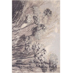 Krémovo-šedý vlněný koberec 160x240 cm Lissey – Agnella