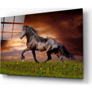 Skleněný obraz Insigne Nobility of the Horse, 110 x 70 cm
