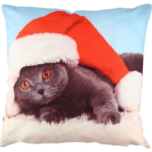 Polštář Christmas Cat, 43 x 43 cm