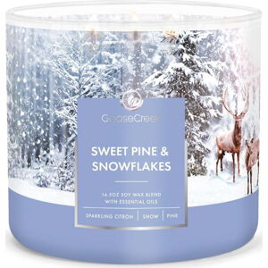 Vonná svíčka Goose Creek Sweet Pine & Snowflakes, doba hoření 35 h