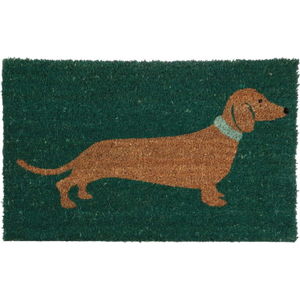 Zelená rohožka Premier Housewares Sausage Dog, 40 x 60 cm