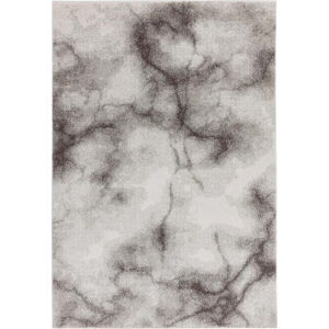 Šedý koberec 160x230 cm Dream – Asiatic Carpets