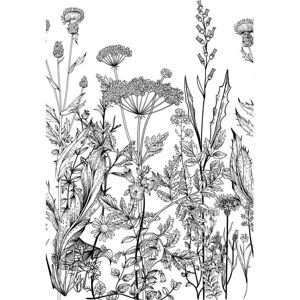 Nástěnná černo-bílá tapeta rozkvetlé louky Dekornik