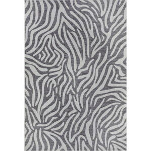 Šedo-béžový venkovní koberec NORTHRUGS Cebra, 200 x 290 cm