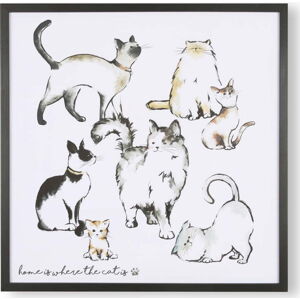 Nástěnný plakát v rámu Art for the home Home Is Where The Cat Is, 50 x 50 cm