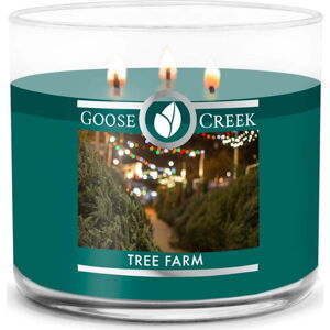 Vonná svíčka Goose Creek Tree Farm, doba hoření 35 h