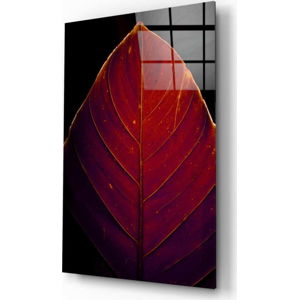 Skleněný obraz Insigne Red Leaf, 46 x 72 cm