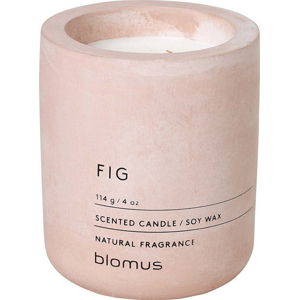 Svíčka ze sojového vosku s vůní fíků Blomus Fraga