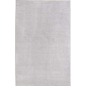 Světle šedý koberec Hanse Home Pure, 300 x 400 cm