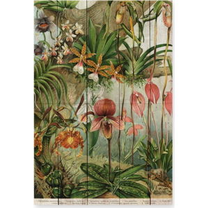 Nástěnná dekorace z borovicového dřeva Madre Selva Jungle Flowers, 60 x 40 cm
