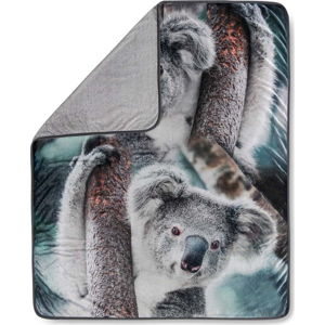 Pléd Good Morning Koala, 130 x 160 cm