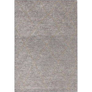 Šedý koberec s příměsí juty 200x290 cm Mulberrry – Asiatic Carpets