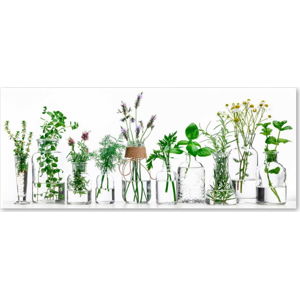Obraz Styler Glasspik Herbs, 30 x 80 cm