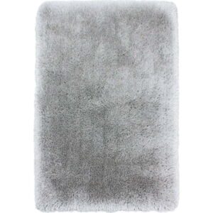 Světle šedý koberec 120x170 cm – Flair Rugs