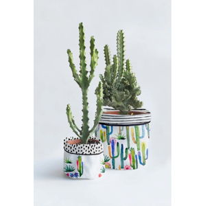 Sada 2 textilních obalů na květináč Surdic Watercolor Cactus