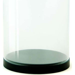 Skleněná vitrínka Wireworks Pleasure Dome Black, 23 cm