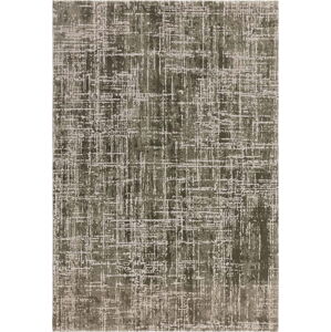 Khaki koberec 200x290 cm Kuza – Asiatic Carpets