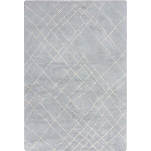 Světle šedý pratelný koberec 160x230 cm Alisha – Flair Rugs