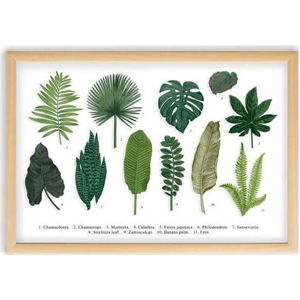 Obraz s rámem z borovicového dřeva Surdic Leafes Guide, 50 x 70 cm
