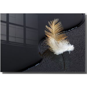 Skleněný obraz 100x70 cm Feather – Wallity