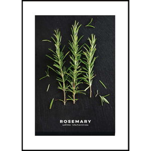 Plakát v rámu 50x70 cm Rosemary – Styler