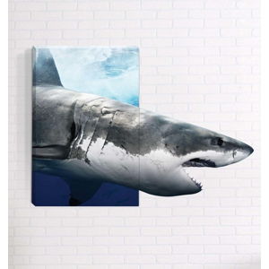 Nástěnný 3D obraz Mosticx Žralok, 40 x 60 cm