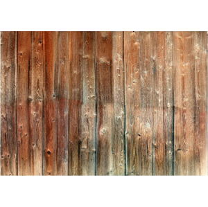Velkoformátová tapeta Artgeist Forest Cottage, 400 x 280 cm