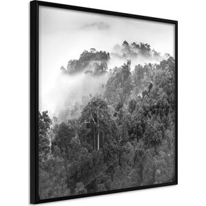 Plakát v rámu Artgeist Foggy Forest, 30 x 30 cm