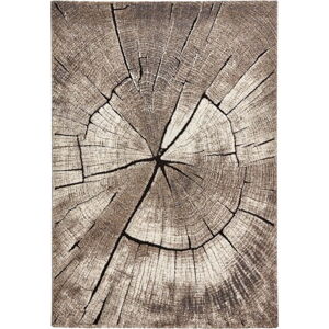 Béžový koberec 170x120 cm Woodland - Think Rugs