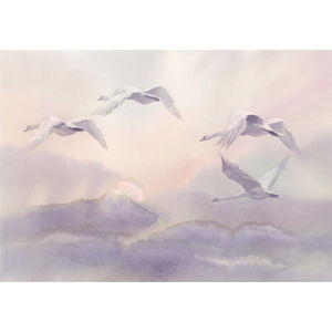 Velkoformátová tapeta Artgeist Flying Swans, 200 x 140 cm