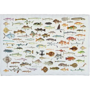 Koupelnová předložka 40x60 cm Fish in the Ocean – Really Nice Things