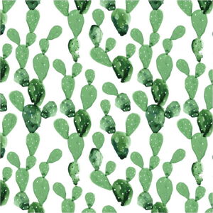 Tapeta na zeď Dekornik Cactus, 50 x 280 cm