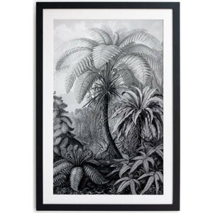 Černobílý plakát Surdic Palm, 60 x 40 cm