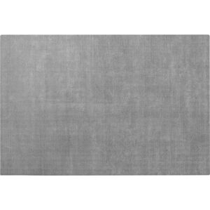 Šedý koberec z viskózy 160x240 cm Visca – Blomus