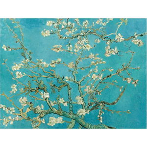 Reprodukce obrazu Vincenta van Gogha - Almond Blossom, 70 x 50 cm