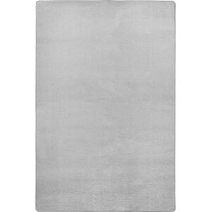 Světle šedý koberec 200x280 cm Fancy – Hanse Home