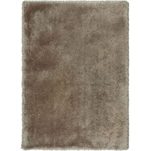 Hnědý koberec 120x170 cm – Flair Rugs