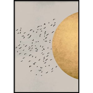 Nástěnný plakát v rámu BIRDS/SILHOUTTE, 50 x 70 cm
