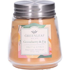 Vonná svíčka Greenleaf Gooseberry And Fig, doba hoření 30 h