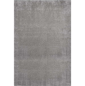 Šedý koberec z recyklovaných vláken 120x170 cm Velvet – Flair Rugs