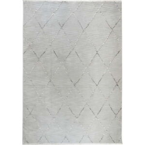 Šedý koberec 60x110 cm Jaipur – Webtappeti